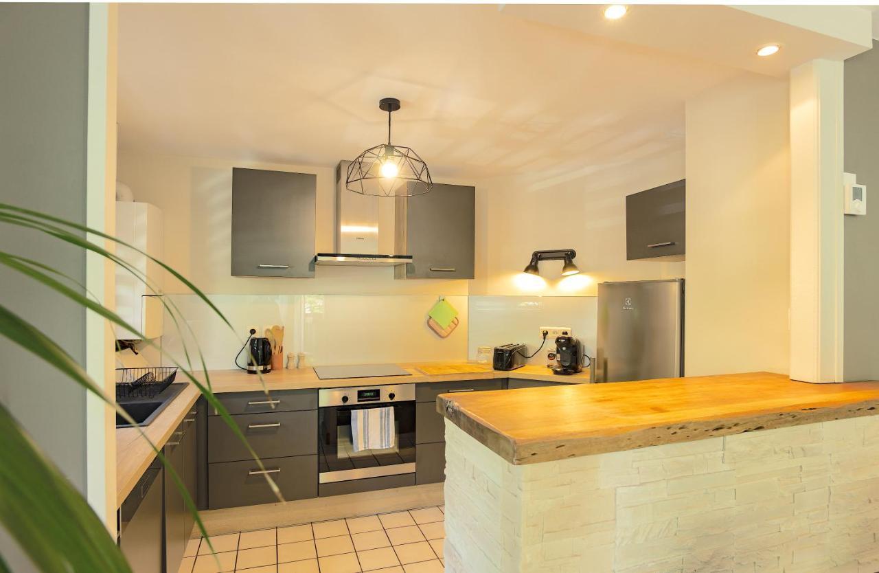 אנסי 100 Geneve Joli T2 Avec Place De Parking Privee מראה חיצוני תמונה